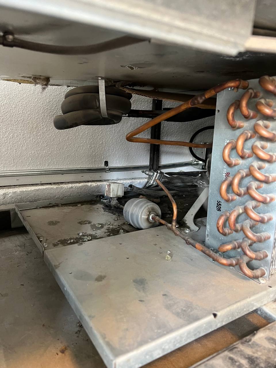 Commercial Freezer True Repair True