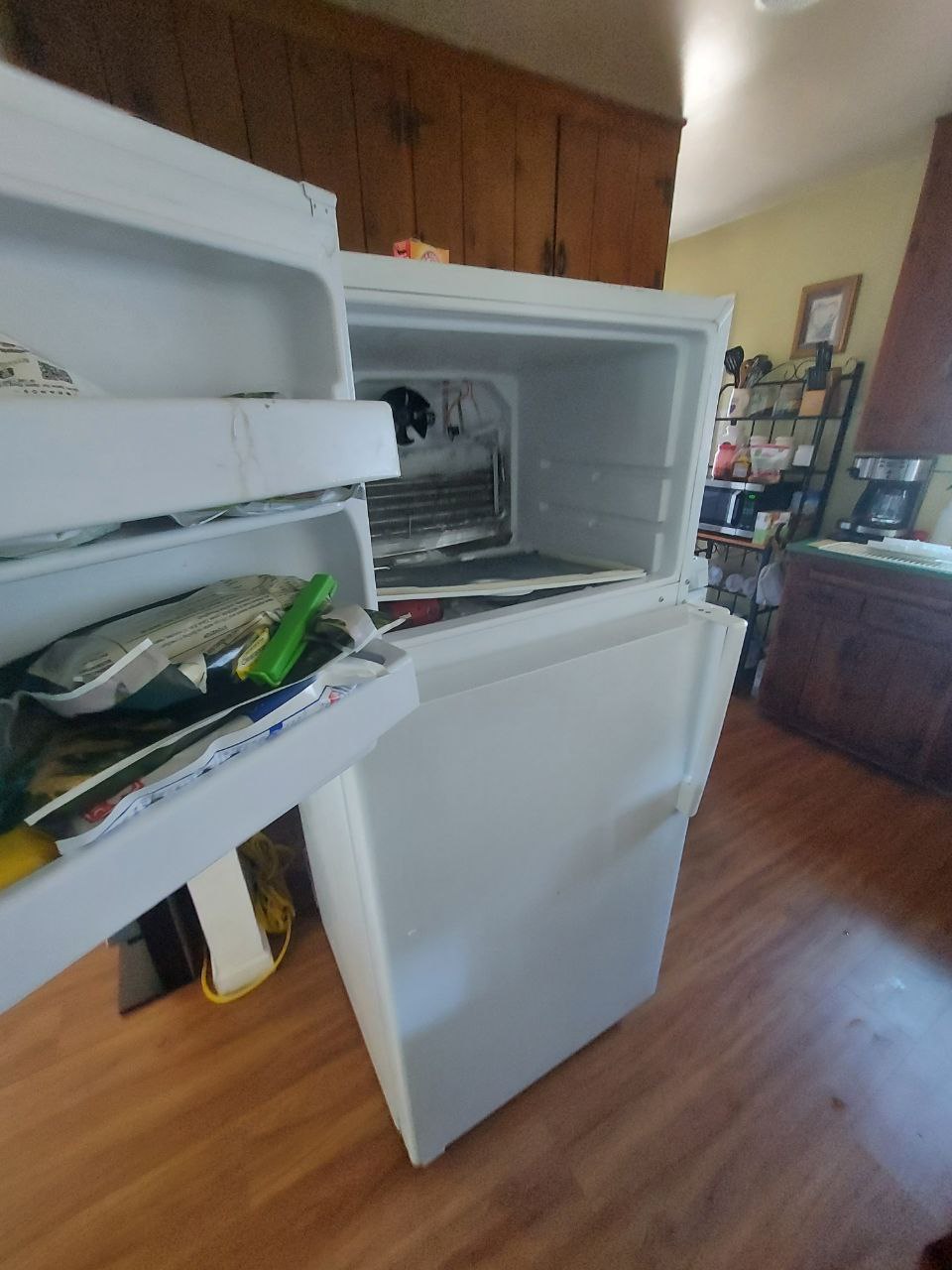 Fridge GE Repair